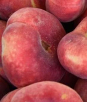 Peach Kernel Oil Glycereth-8 Esters
