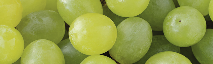 Vitis Vinifera (Grape) Seed Oil