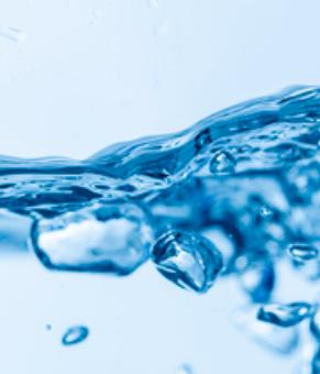 Hydrolyzed Collagen
