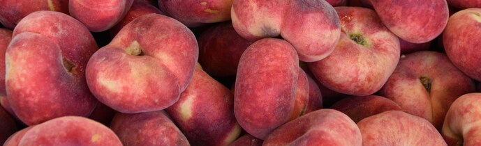 Peach Kernel Oil Glycereth-8 Esters