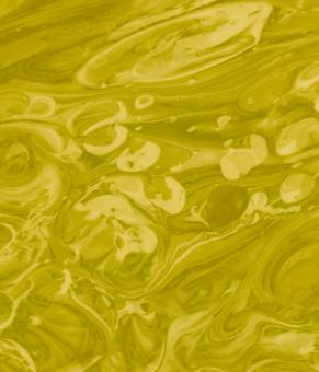 Linum Usitatissimum Seed Oil