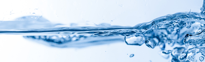 Hydrolyzed Collagen
